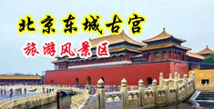 骚屄欠肏片中国北京-东城古宫旅游风景区